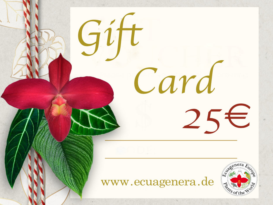 Gift Card, Ecuagenera Europe