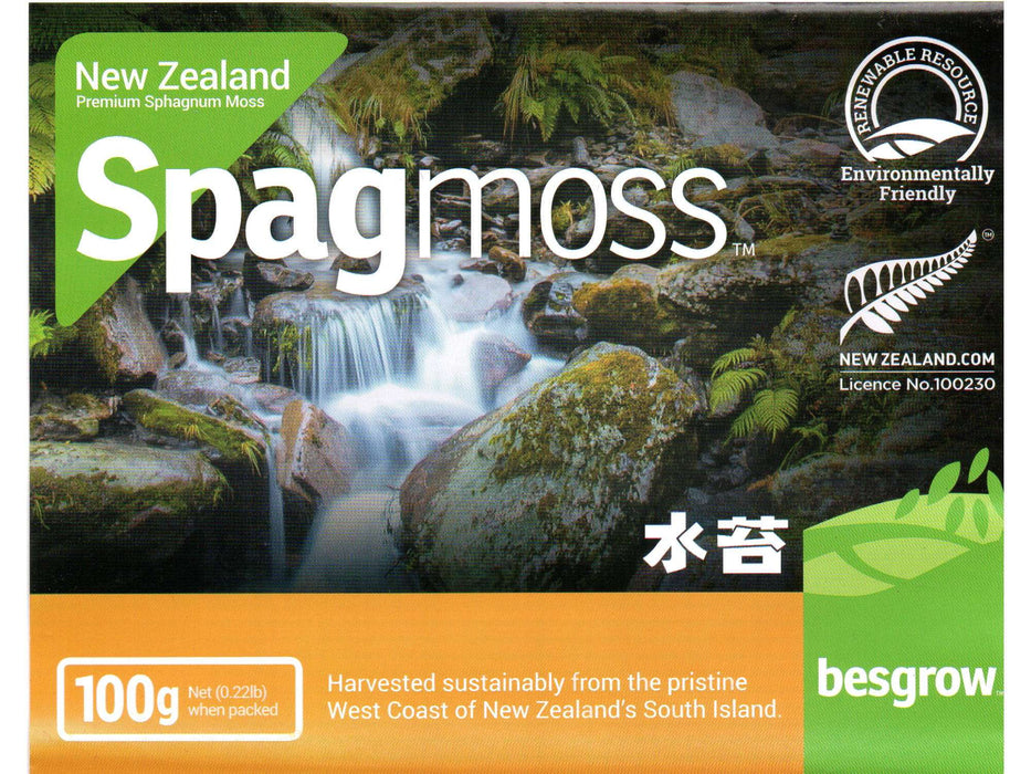 Sphagnum Moos Neuseeland